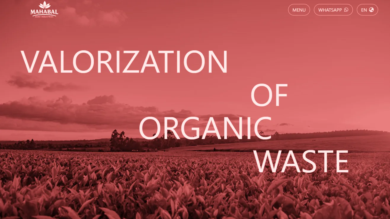 Hover version of Mahabal Agro Ind website preview