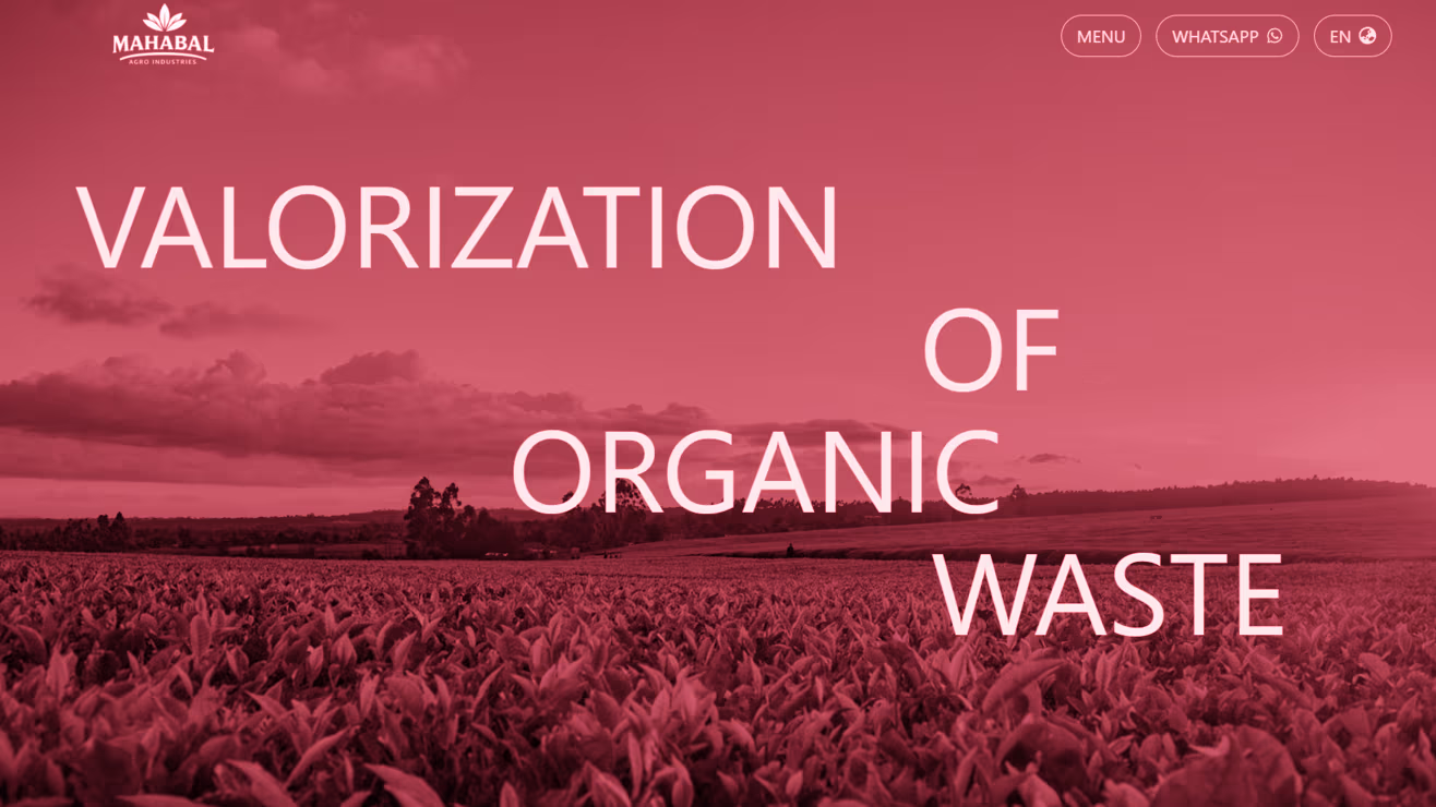 Hover version of Mahabal Agro Ind website preview