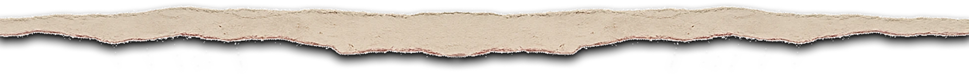 Torn paper edge graphic used for decorative section transition